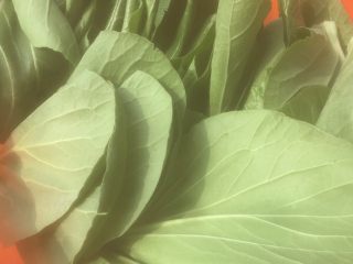 8、卷鲜（正月十五，湖北地方特色点心，也叫元宵）,摘好菜叶