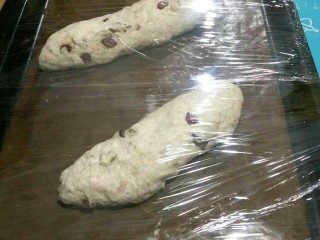 18、全麦核桃包～软欧包,封口处压紧，封口朝下放入烤盘，