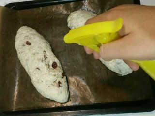 19、全麦核桃包～软欧包,发酵好的面团，取出，表面喷水