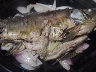 2、石锅鱼,7.将煮熟的鱼放在洋葱丝上
