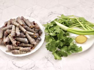1、麻辣田螺,首先备齐所有的食材，把锥螺的尾部剪掉，这样在烹饪的过程中，可以很快入味，也方便食用，香菜去根洗净。