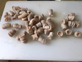 9、日式味噌煮九转小肠,抓住套好的猪小肠两端，平放进锅里。加一根大葱，4-5片姜，一勺料酒，加水没过猪小肠。大火煮开，转中火，煮10-15分钟后，捞出猪小肠，冲洗干净。