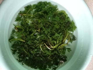 2、青团,煮软的艾草从锅中挑出，马上浸入凉开水中冷却