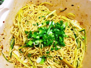 15、夏日凉面,待全部搅拌均匀后，最后加入一点葱花即可，制作完毕。
