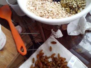 3、五仁月饼,将葡萄干洗净控干,和果仁倒在一起