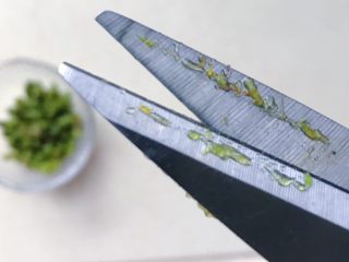 8、鲜铁皮石斛汁,剪刀上会留有胶质，这个就是铁皮石斛的营养成分