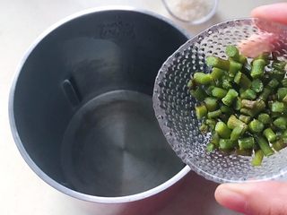 10、鲜铁皮石斛汁,把石斛粒倒入豆浆机中