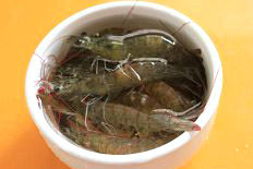 1、油焖虾,虾买回洗干净