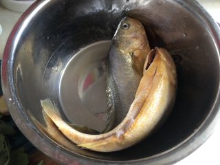2、琐碎金鳞软玉膏➕家常红烧黄鱼,黄鱼刮去鱼鳞，开膛破肚，去内脏去腮，清洗干净备用