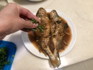23、琐碎金鳞软玉膏➕家常红烧黄鱼,鱼装盘后，撒上少许葱末少许香菜，即可上桌享用了????