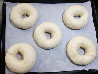 23、原味贝果（超详细版）,面团排在烤盘上，如果不是不沾烤盘，下要需要垫上油纸。