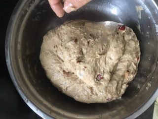 9、红糖开花馒头,面团里加入红枣碎和10克玉米油,加入油的时候,把手上也抹油,一手扶盆,一手揉面排气,把红枣揉进去