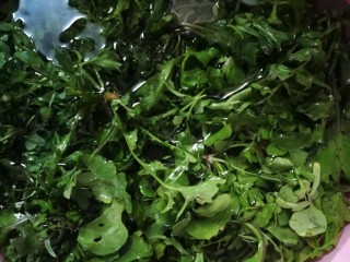 5、开洋香菇荠菜大馄饨,新鲜荠菜清洗。