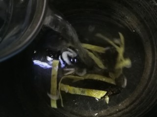 26、开洋香菇荠菜大馄饨,冲入开水。