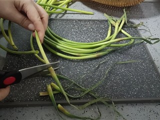 7、蒜苔炒腊肠,蒜苔清洗干净处理掉头部。