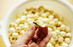 3、白莲蛋黄月饼,去掉莲子心；