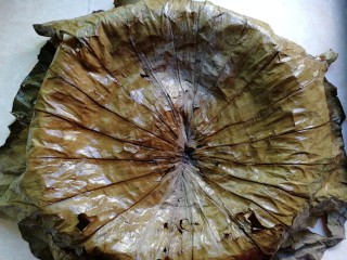 7、荷叶糯米排骨饭,将荷叶铺在蒸笼上