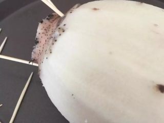 4、【红糖糯米藕】这样的端午有点甜,然后用牙签固定住两端。