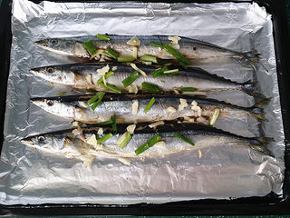 3、烤秋刀鱼,将腌好秋刀说取出冲洗盐卤后控干水份、双面划几刀放至刷过簿油的锡纸上、表面重新放些葱姜蒜沫