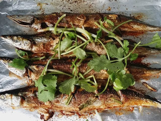 8、烤秋刀鱼,烤10分钟再取出,表面放些香菜,再撒些芝麻