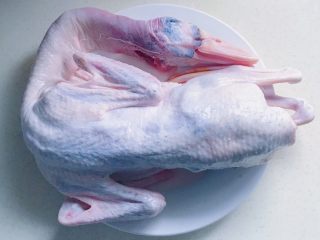 1、火腿炖老鸭,洗干净的老鸭一只