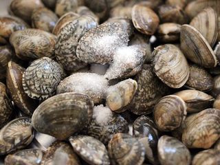 1、香爆咖喱花蛤,买回来的花蛤放一勺盐