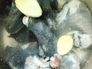 7、白果腐竹炖乌鸡,放入姜片