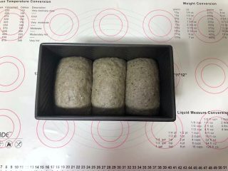 15、黑芝麻吐司(一次发酵),发酵至吐司盒的7分满。