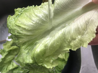 3、蒜蓉生菜,再一片一片清洗干净
