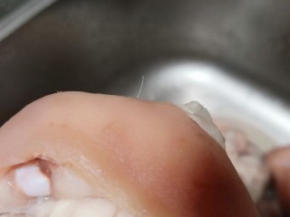 6、酱香猪蹄,用温水把焯水过后的猪蹄清洗干净，再拔毛。一般买来的猪蹄都会有一些猪毛留在上面，焯水过后可以很轻松地用夹子一根根拔除。