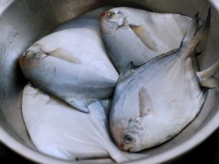 1、酱焖海鲳鱼,买回家的鲳鱼放到盆中。