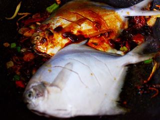 11、酱焖海鲳鱼,把鲳鱼放入锅中。