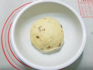 5、老面核桃软欧,揉好后盖上保鲜膜放入容器中发酵;