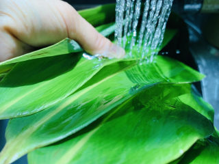 3、红豆粽子,粽叶每片清洗干净