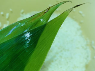 14、红豆粽子,粽叶尾也要剪掉