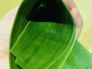 15、红豆粽子,在四分三处,折漏斗状