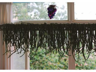 3、绿色美食+自制酸豆角,我是放在晾衣架上晾干水分的