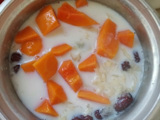 10、木瓜炖牛奶,下入木耳