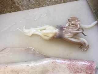 2、韩式辣烤鱿鱼,头以下的淡黄色的软软的内脏部分，切掉，不吃。
