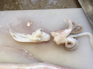 4、韩式辣烤鱿鱼,去掉眼睛，鱿鱼嘴，墨汁袋。