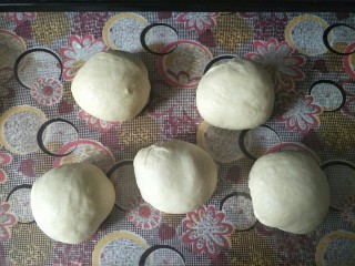 5、蔓越莓炼乳吐司,取出发酵好的面团排气，均分成五份，滚圆盖住保鲜膜松弛10分钟