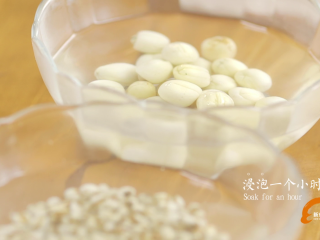 2、#食二星座#莲子薏米茨实牛肚汤,将薏米、茨实、莲子放入水中浸泡一个小时