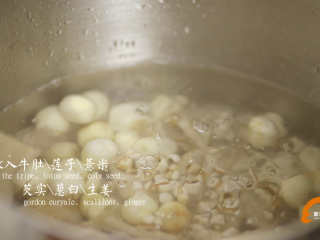 7、#食二星座#莲子薏米茨实牛肚汤,放入牛肚、莲子、茨实、薏米、茨实、生姜、葱白