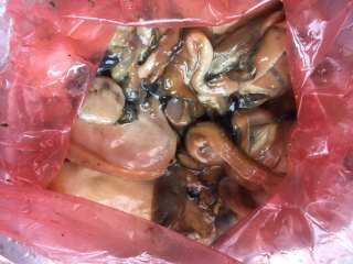 1、河蚌咸肉豆腐汤,河蚌，购买时可让摊主杀好去壳。