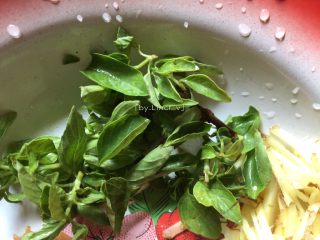 4、爆炒田螺,罗勒、香葱洗净切小段待用