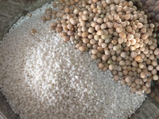 4、肉粽子,糯米和豌豆（豌豆用水洗净，把水沥干），用大蒜花椒盐水搅拌均匀。（糯米和豌豆不需要泡，切最好不要有水，要用大蒜花椒树水，大蒜花椒末也一起加入搅拌，盐要放足，不然粽子一煮就没味了）