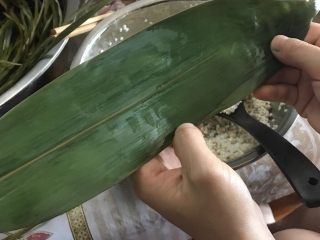 5、肉粽子,开始包粽子啦，首先两片粽子叶叠在一起，一片叶子的根部和另外一片顶部放一块