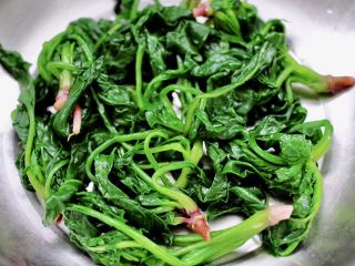 15、蒜蓉菠菜拌毛蛤,焯好的菠菜,沥干水分后,放入盆中。