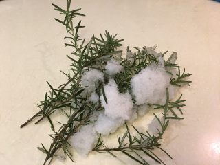 1、柠香迷迭鸡,后院的迷迭香！还有上海的雪❄️