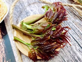 1、#春食野菜#椿芽烘鹅蛋,椿芽春天野菜之一,采摘刚发出的嫩芽